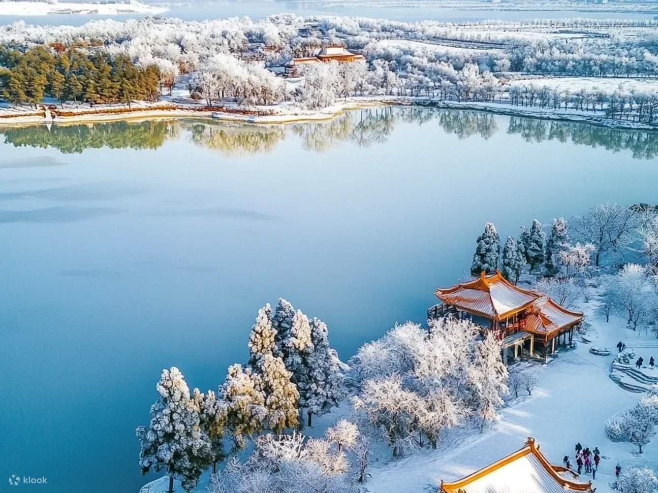 Siberian Tiger Park — Harbin, China