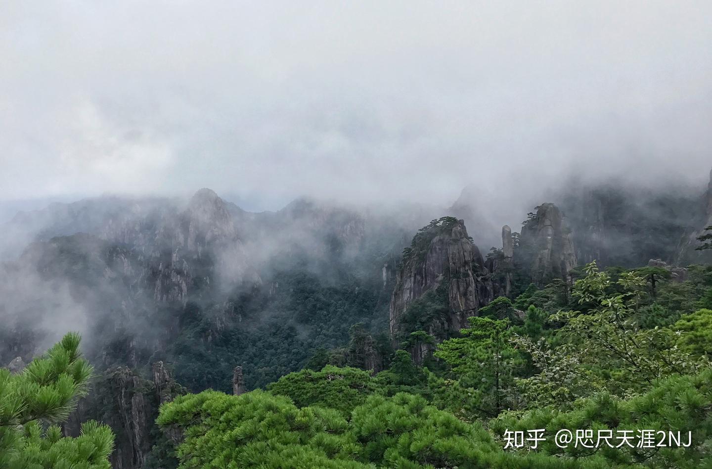 Guest-Greeting Pine — Yellow Mountain Hongcun Village, China